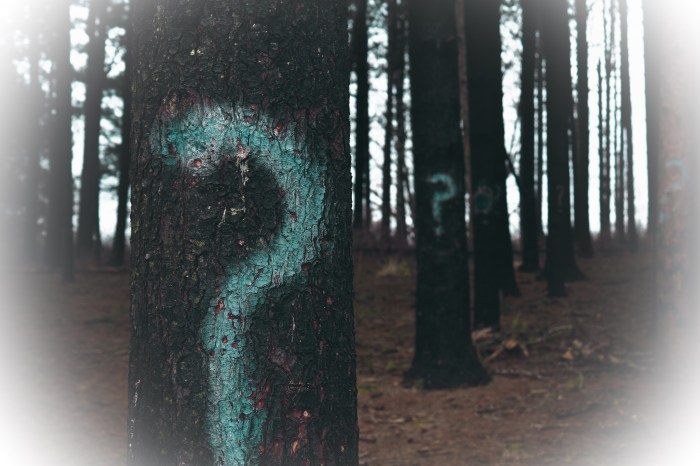 D17638FA-5422-4919-A4DA-9699F5359B2F